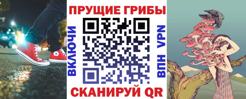 Псилоцибиновые грибы прущие грибы  гидра маркетплейс  Пенза 